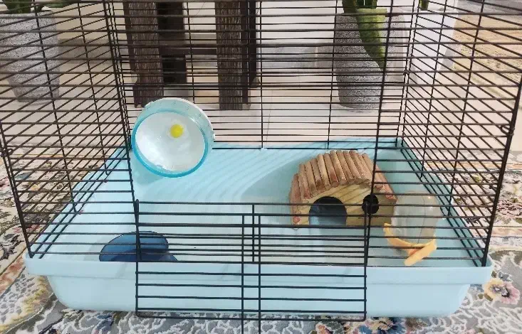 قفس همستر|لوازم جانبی حیوانات|تهران, شادآباد|دیوار