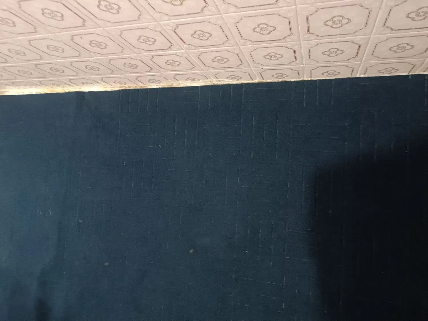 موکت میز تی وی|موکت|دزفول, |دیوار