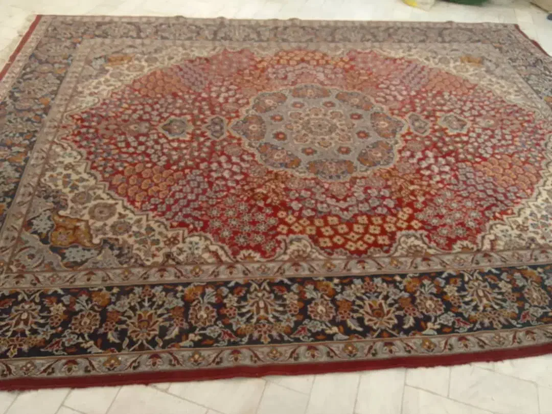 فرش|فرش|قم, شاه سید علی|دیوار