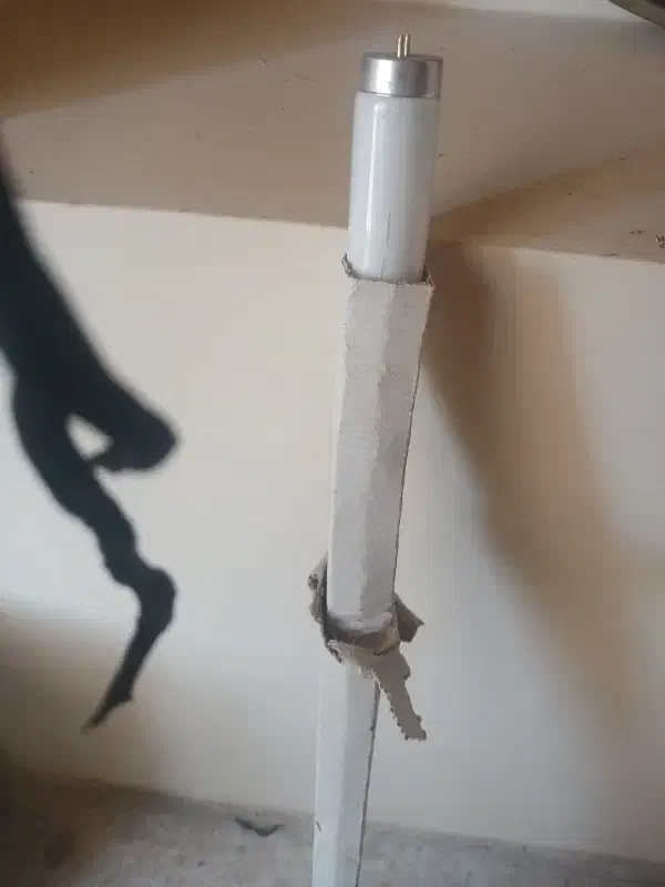 خانگی و روشنای سیمکشی|لامپ و چراغ|اردبیل, |دیوار