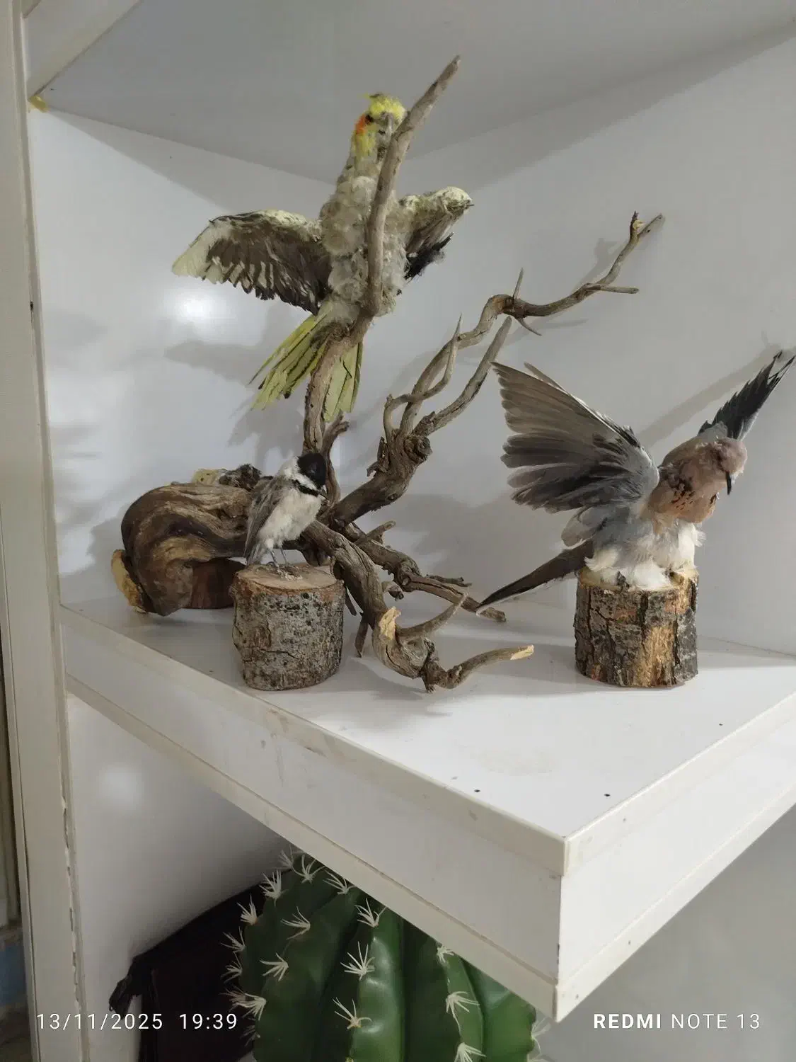 مجسمه|مجسمه، تندیس، ماکت|ایلام, |دیوار