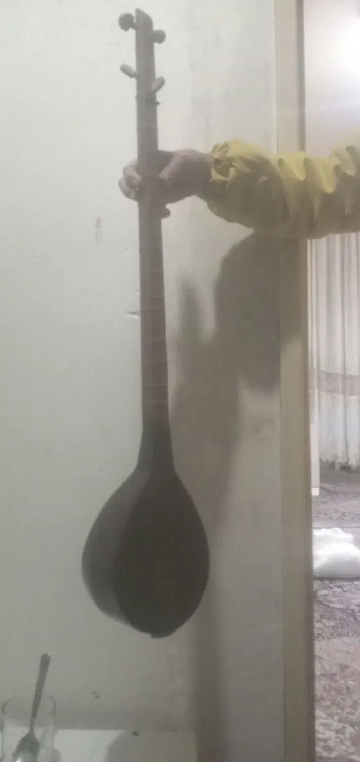 سه تار|سازهای سنتی|مشهد, کشف|دیوار