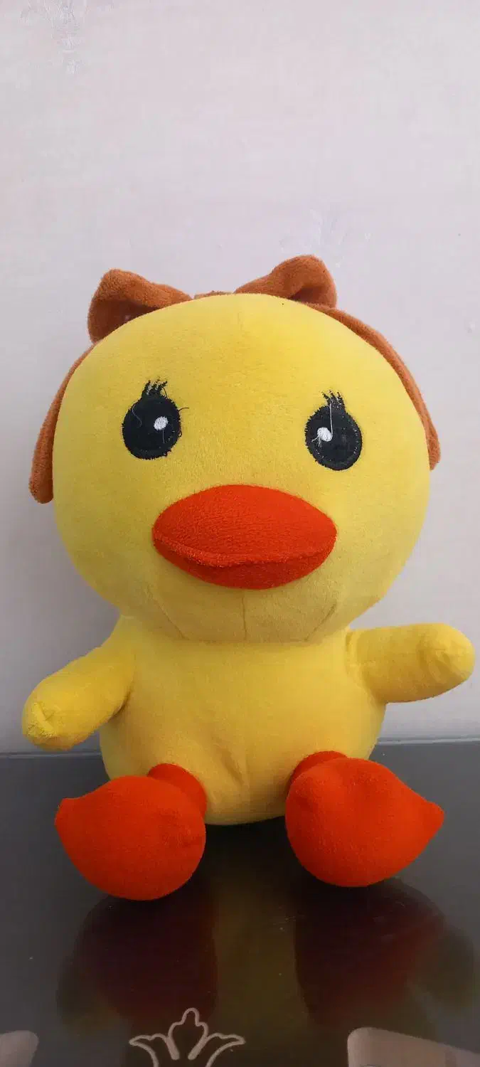 عروسک جوجه|اسباب‌بازی بچه|اردکان, |دیوار