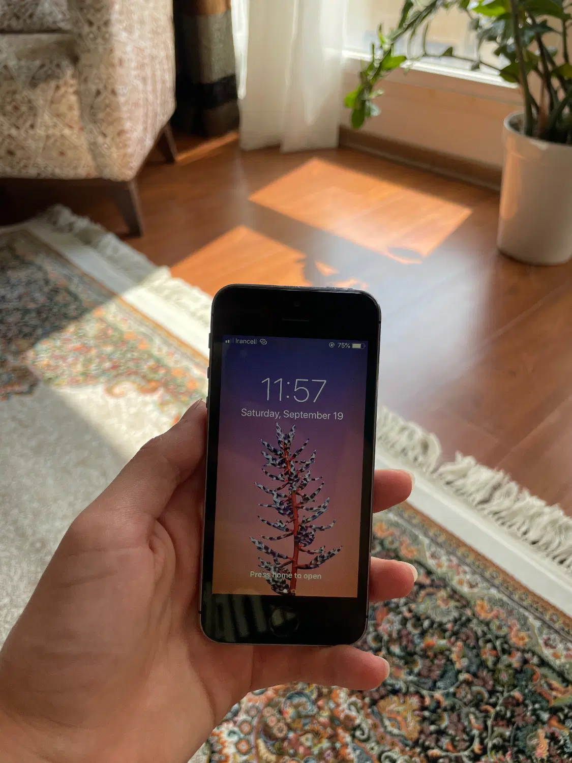 آیفون 5s|موبایل|فردیس, فردیس|دیوار