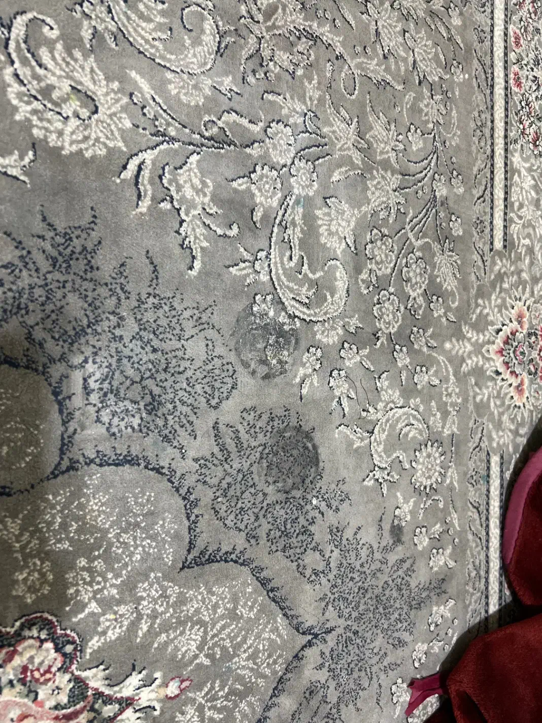 فرش 6 متری|فرش|شیراز, بریجستون|دیوار