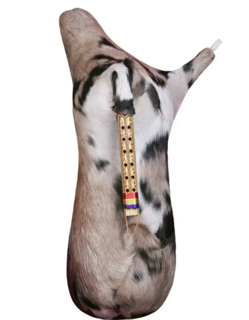 اجرای مجالس جشن وعروسی نی انبان.ضرب وتمپو|خدمات پذیرایی، مراسم|شهرکرد, |دیوار