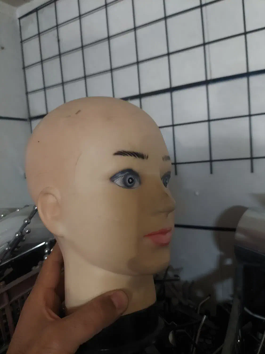 چوب کار و مانکن|فروشگاه و مغازه|زنجان, |دیوار