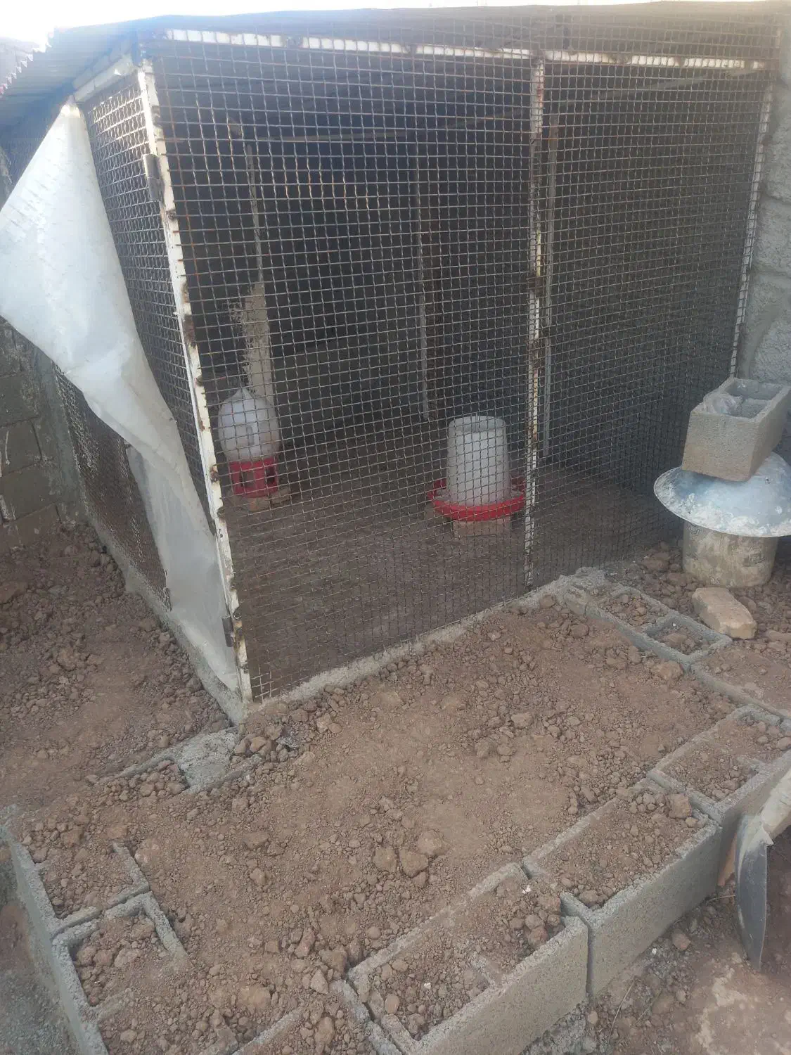 فروش قفس|لوازم جانبی حیوانات|صوفیان, |دیوار