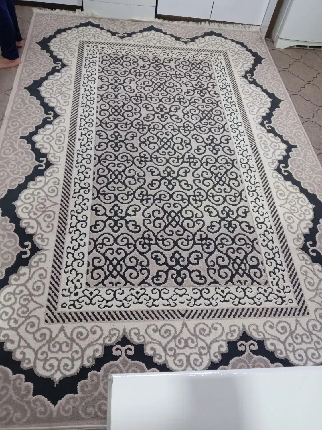 گلیم فرش 6 متری|گلیم، جاجیم، گبه|تایباد, |دیوار