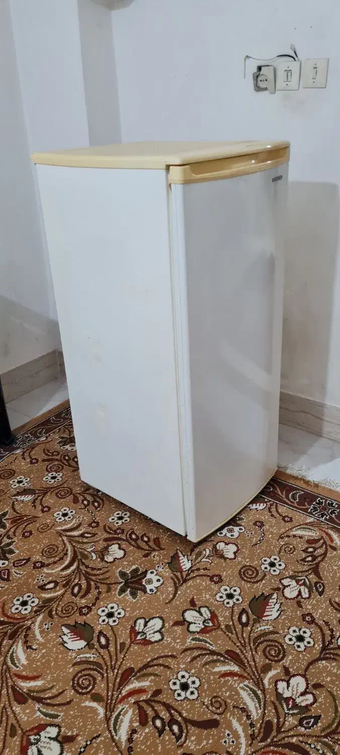 فریزر کوچک|یخچال و فریزر|گنبد کاووس, |دیوار