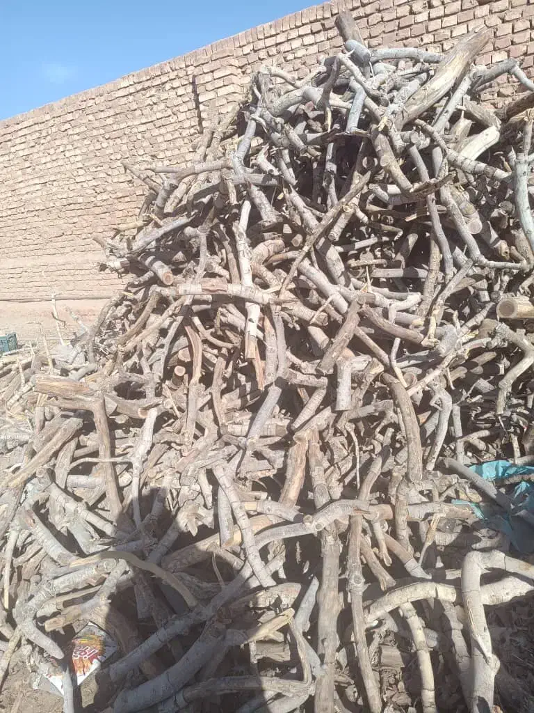 خریدار  چوب پسته و غیره و اجاره زمین|خدمات باغبانی و درختکاری|انار, |دیوار