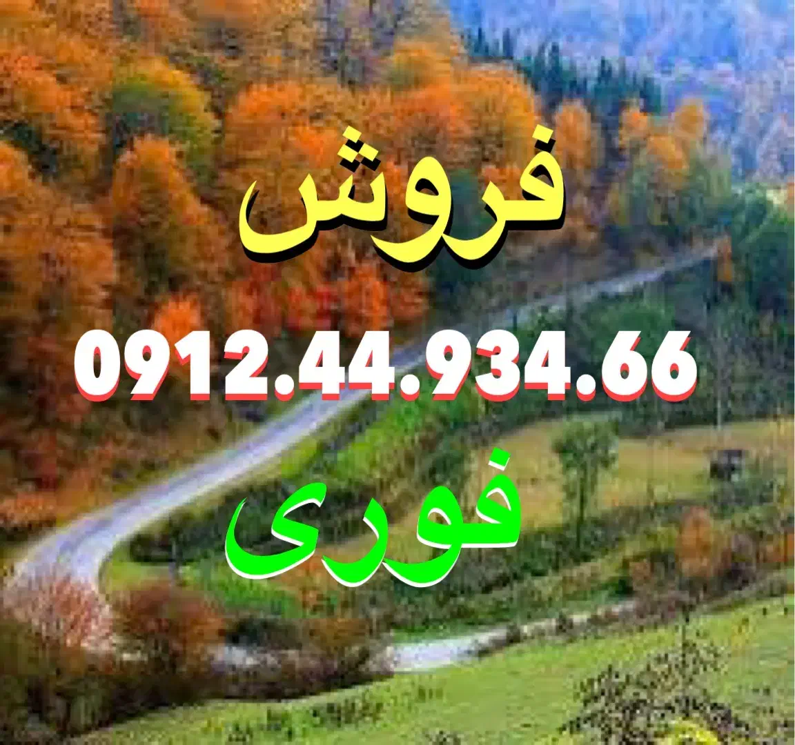 0912.44.934.66|سیم‌کارت|تهران, امیریه|دیوار
