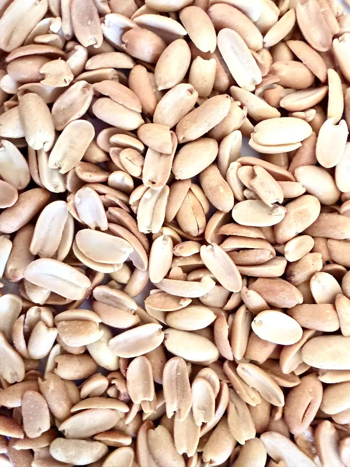 بادام زمینی کره گیری آستانه|خوردنی و آشامیدنی|شیراز, شهرک بزین|دیوار