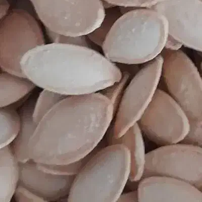 فروش خشکبار وحبوبات|خوردنی و آشامیدنی|صدرا-فارس, فاز ۱|دیوار