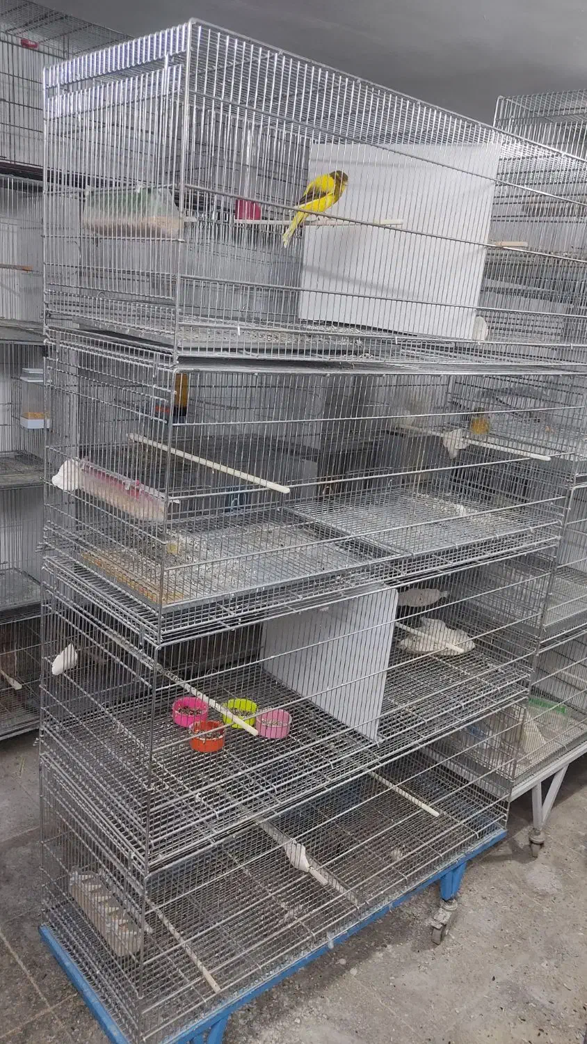 قفس هشت خان بازاری و پژاوند|لوازم جانبی حیوانات|کرج, شهرک بنفشه|دیوار