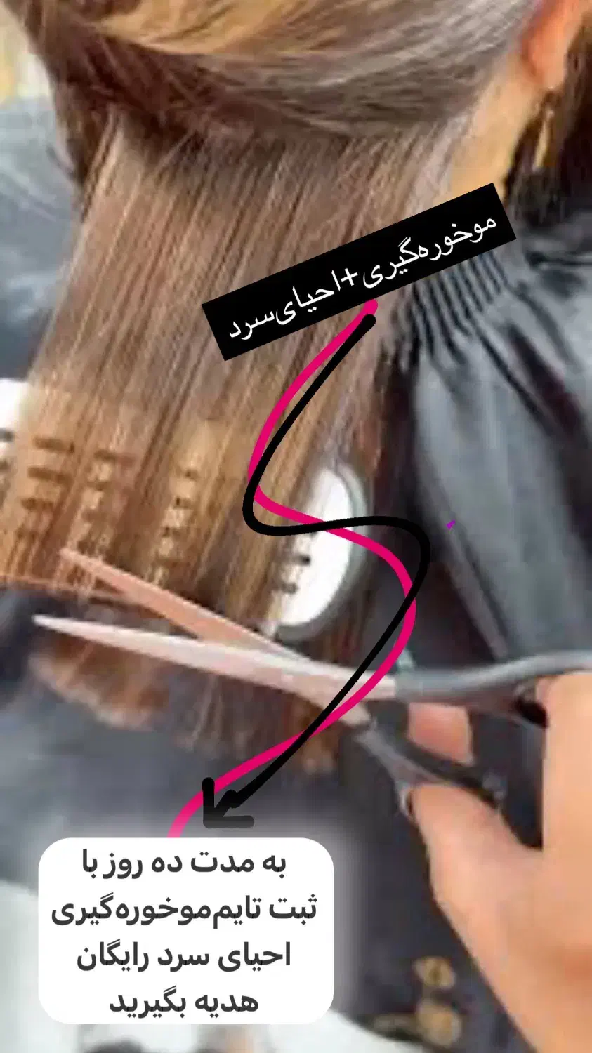 موخوره گیری+احیای سرد|خدمات آرایشگری و زیبایی|زابل, |دیوار