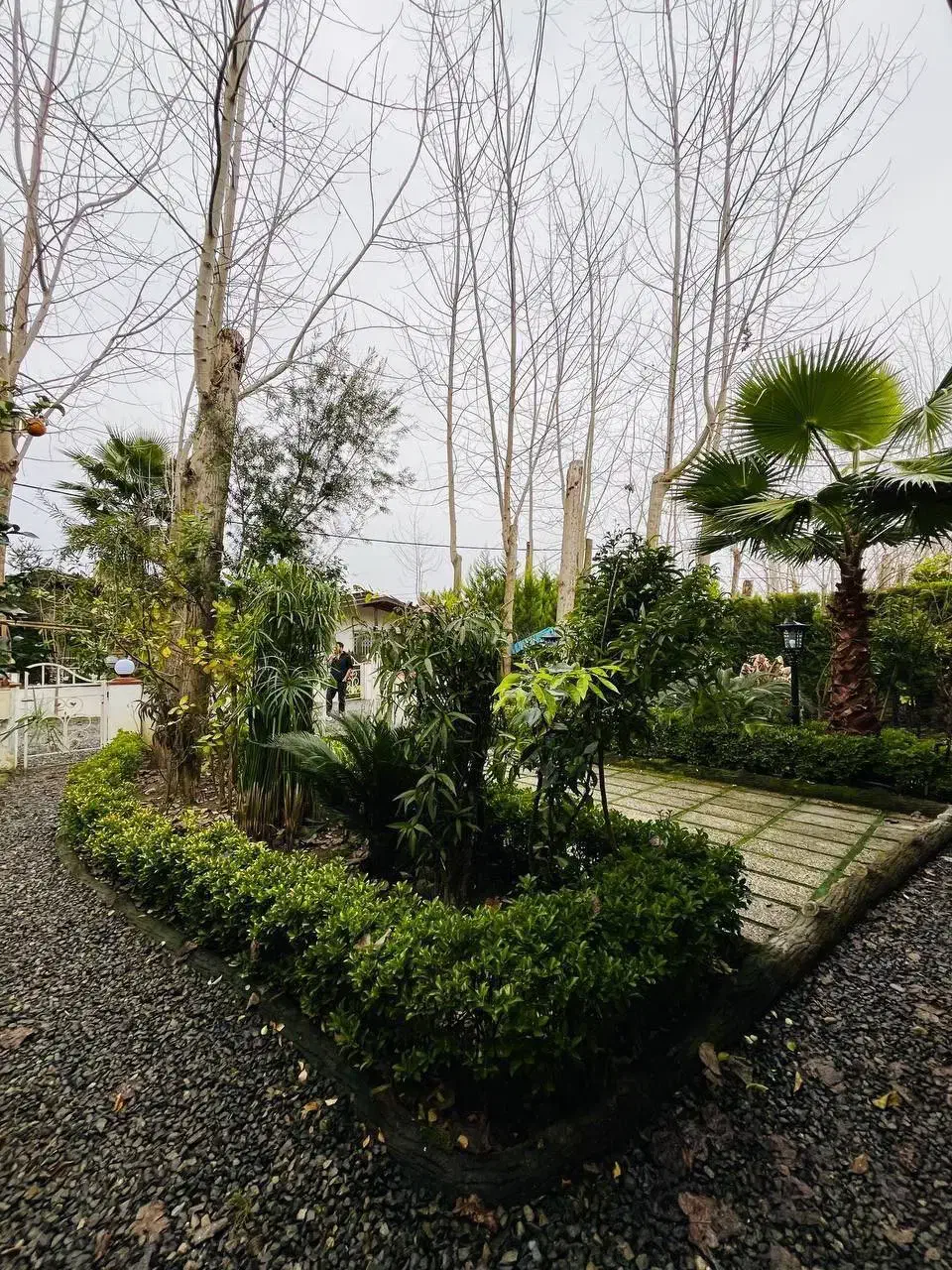 پشت پارک جنگلی نور خونه روستایی بدون مشرف|فروش خانه و ویلا|رینه, |دیوار