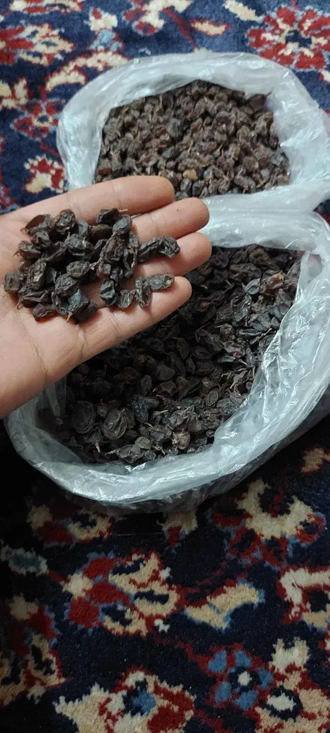 کشمش|عمدهفروشی|محمدیه-قزوین, |دیوار