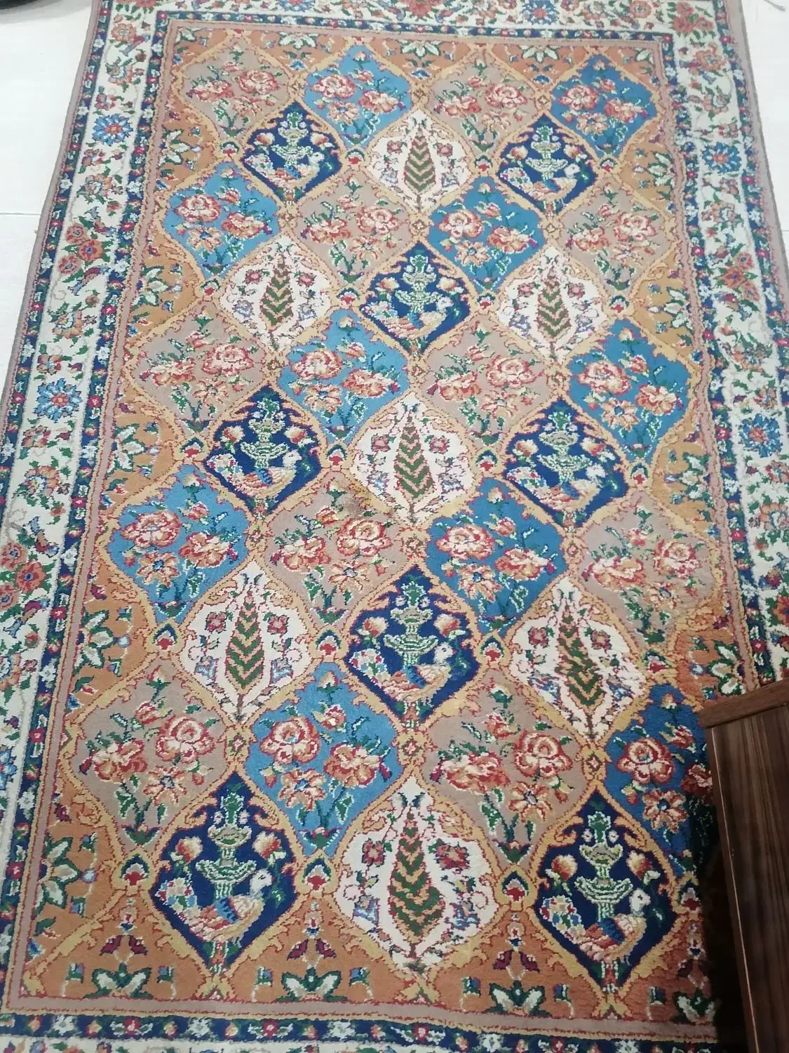 فرش دو ونیم متری|فرش|زرقان, |دیوار