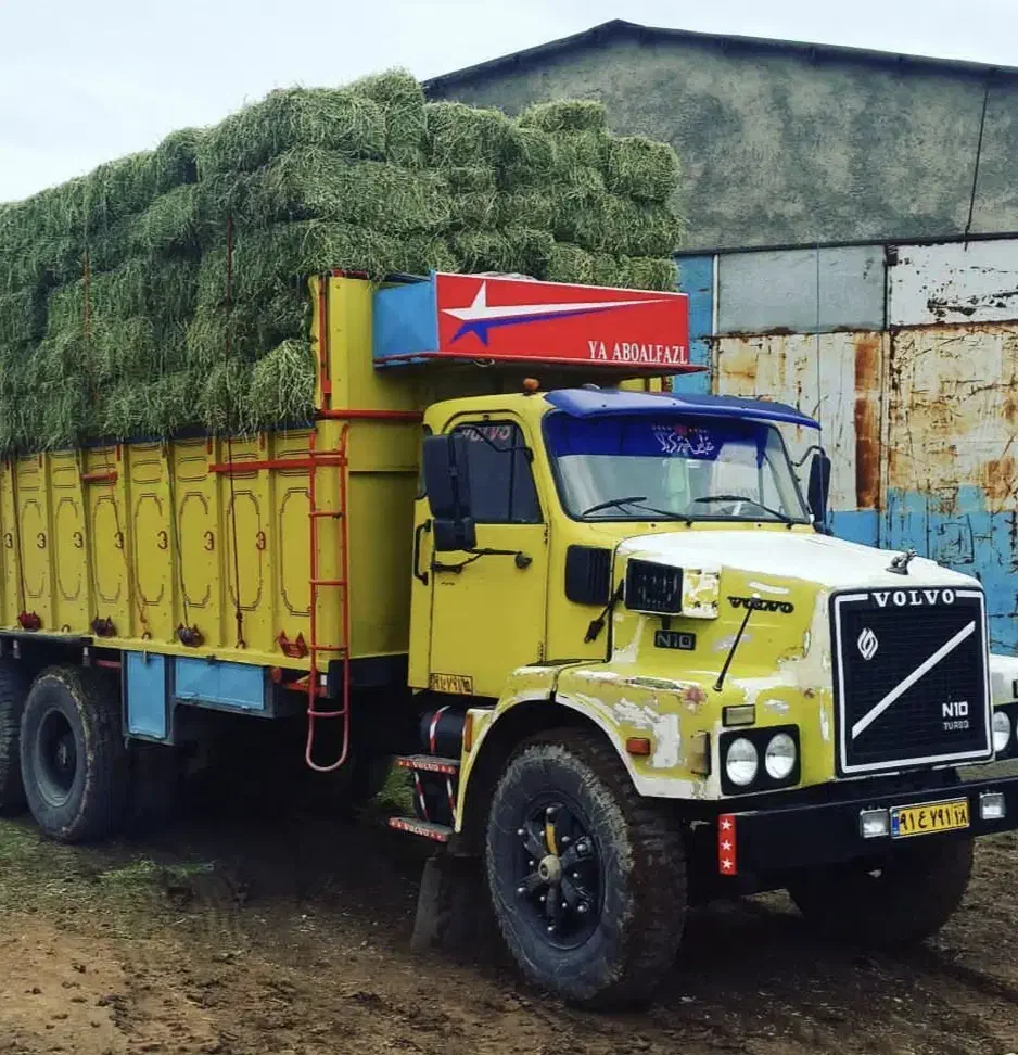 یونجه|خدمات باغبانی و درختکاری|کنگاور, |دیوار