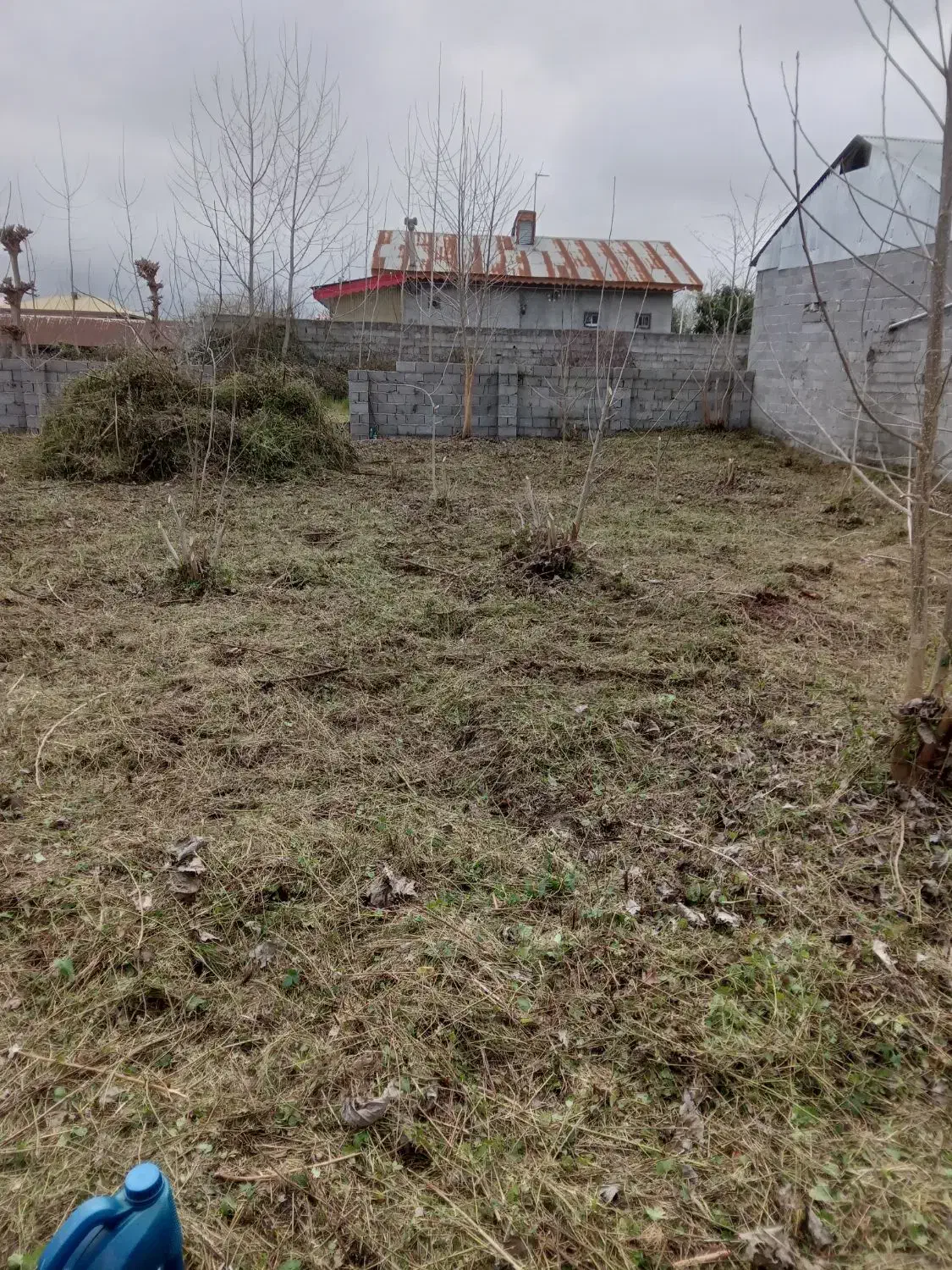 علف زنی زمینها با دستگاه علفزن|خدمات باغبانی و درختکاری|لنگرود, |دیوار