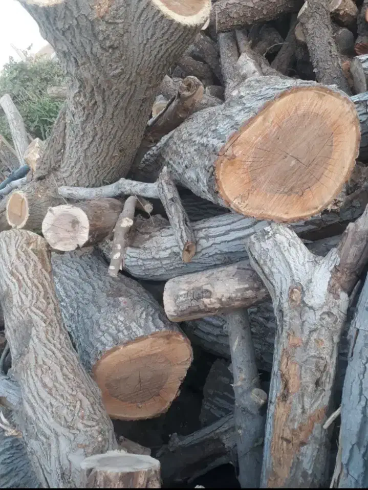 خرید چوب|خدمات باغبانی و درختکاری|طبس, |دیوار