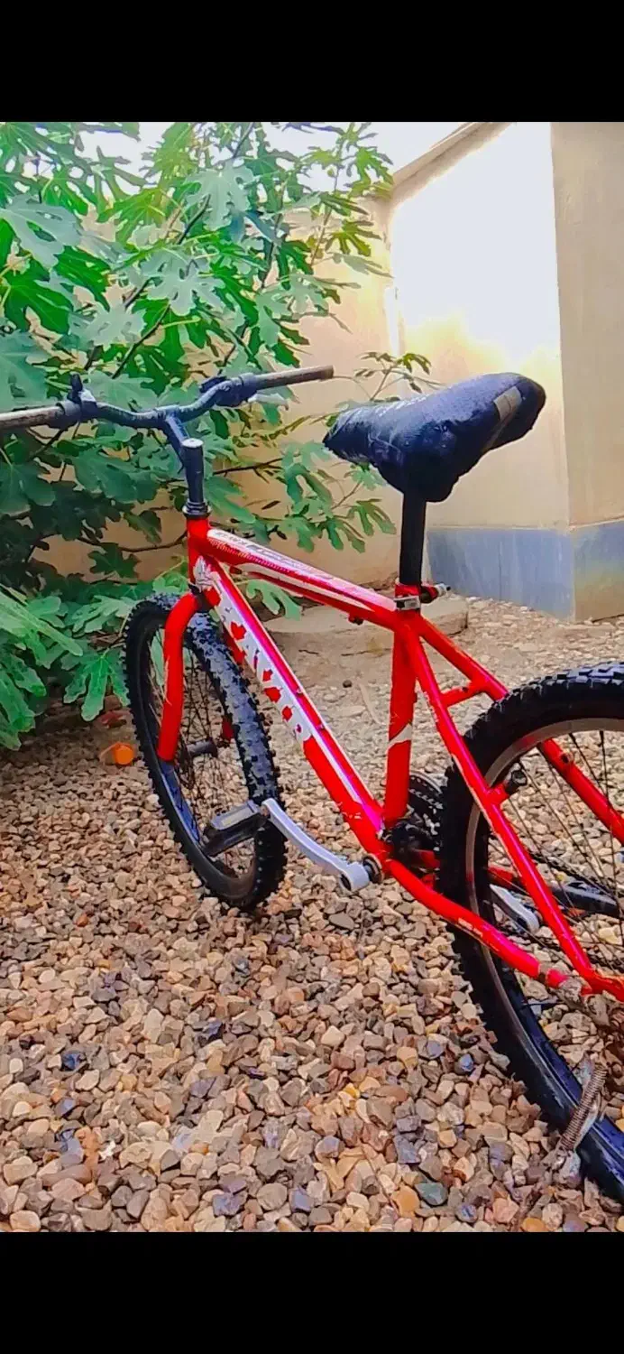 دوچرخه|دوچرخه، اسکیت، اسکوتر|گنبد کاووس, |دیوار