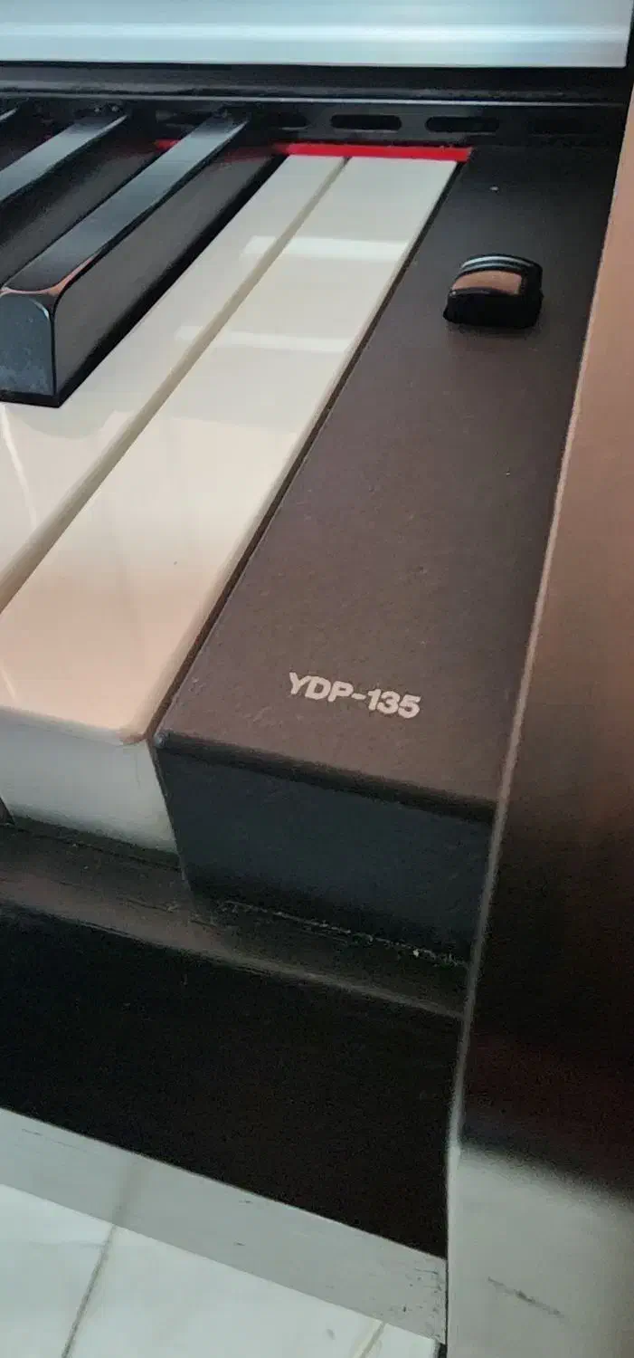 یاماهاYDP-135بهمراه صندلی وکارتن درحدنو اندونزی|پیانو، کیبورد، آکاردئون|تهران, چیتگر جنوبی|دیوار