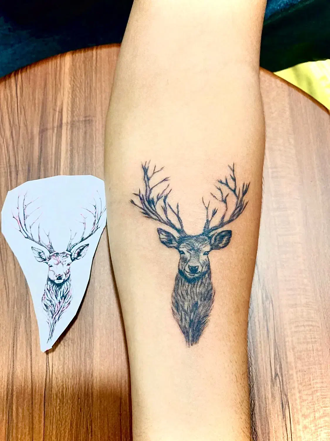 تتوارتیست|خدمات آموزشی|چابهار, |دیوار