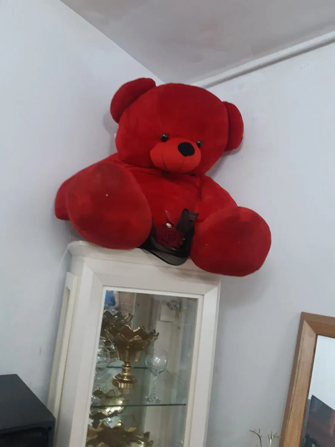 خرس قرمز|اسباب‌بازی بچه|تبریز, |دیوار