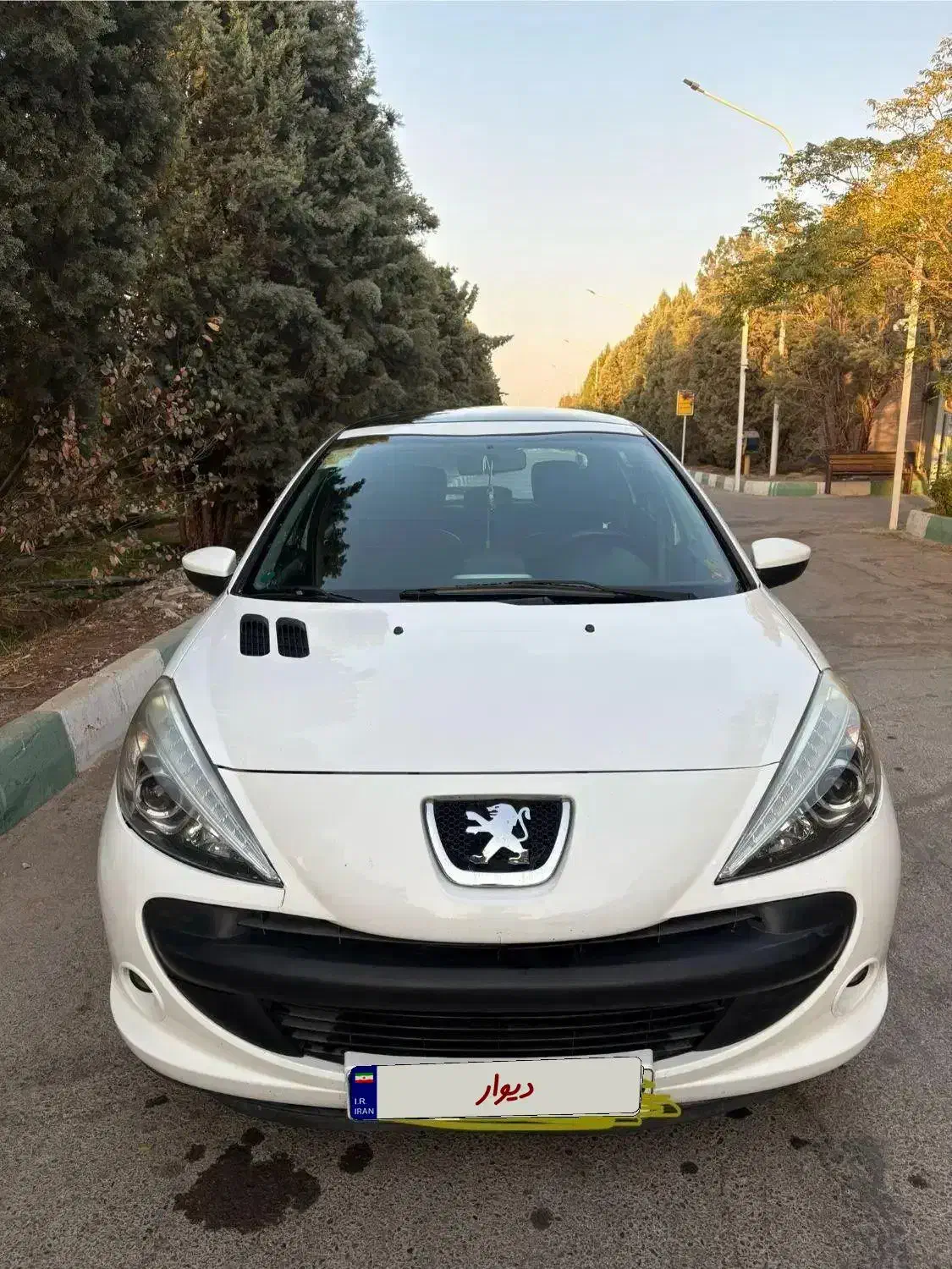 فروش ۲۰۷ سقف شیشه ای|خودرو سواری و وانت|اصفهان, ارغوانیه|دیوار