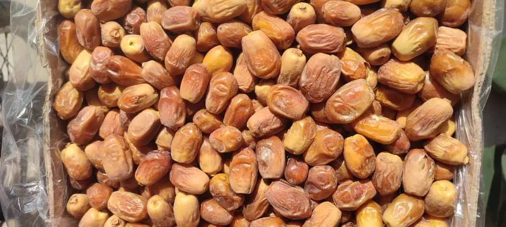 فروش عمده خرمای زاهدی صادراتی بصورت تناژ|عمده‌فروشی|قیروکارزین, |دیوار