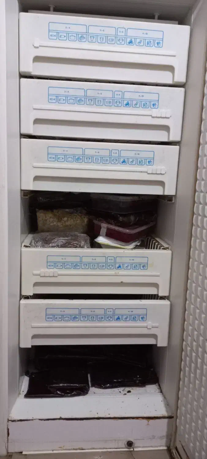 فریزر پارس|یخچال و فریزر|سیلاخور, |دیوار