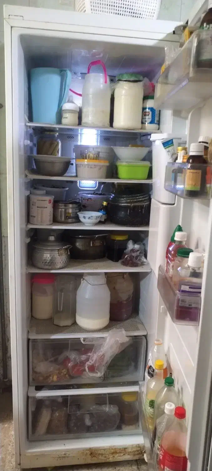 یخچال الکترو استیل|یخچال و فریزر|داران, |دیوار