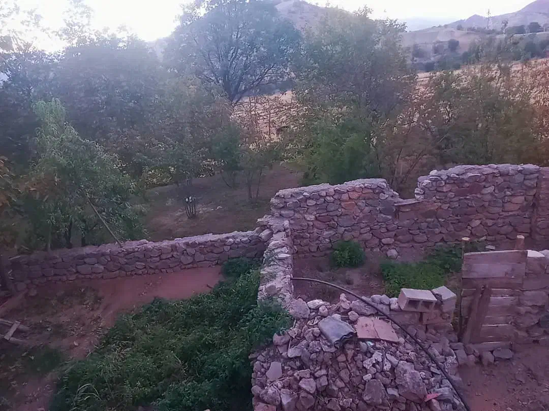 خانه ی اجاره ای|اجارهٔ خانه و ویلا|پاتاوه, |دیوار