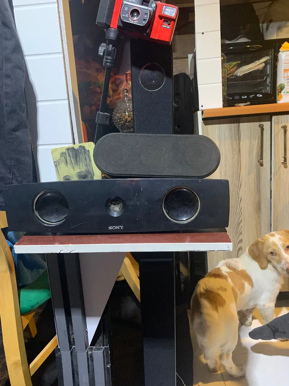 سینما خانواده سامسونگ|سیستم صوتی خانگی|چالوس, |دیوار