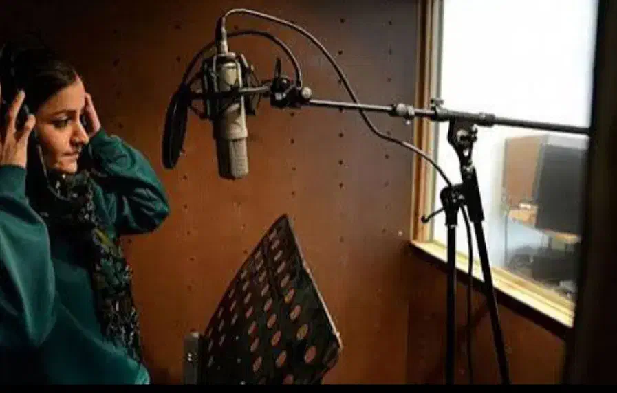 ۴ صدا خانم معمولی خوانش کتب صوتی|استخدام هنری و رسانه|تهران, سهروردی|دیوار