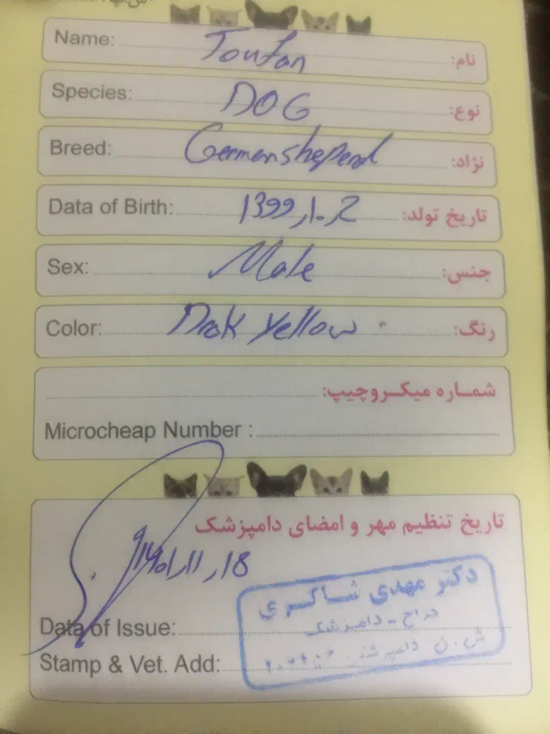 سگ ژرمن شپرد|سگ|کهنوج, |دیوار