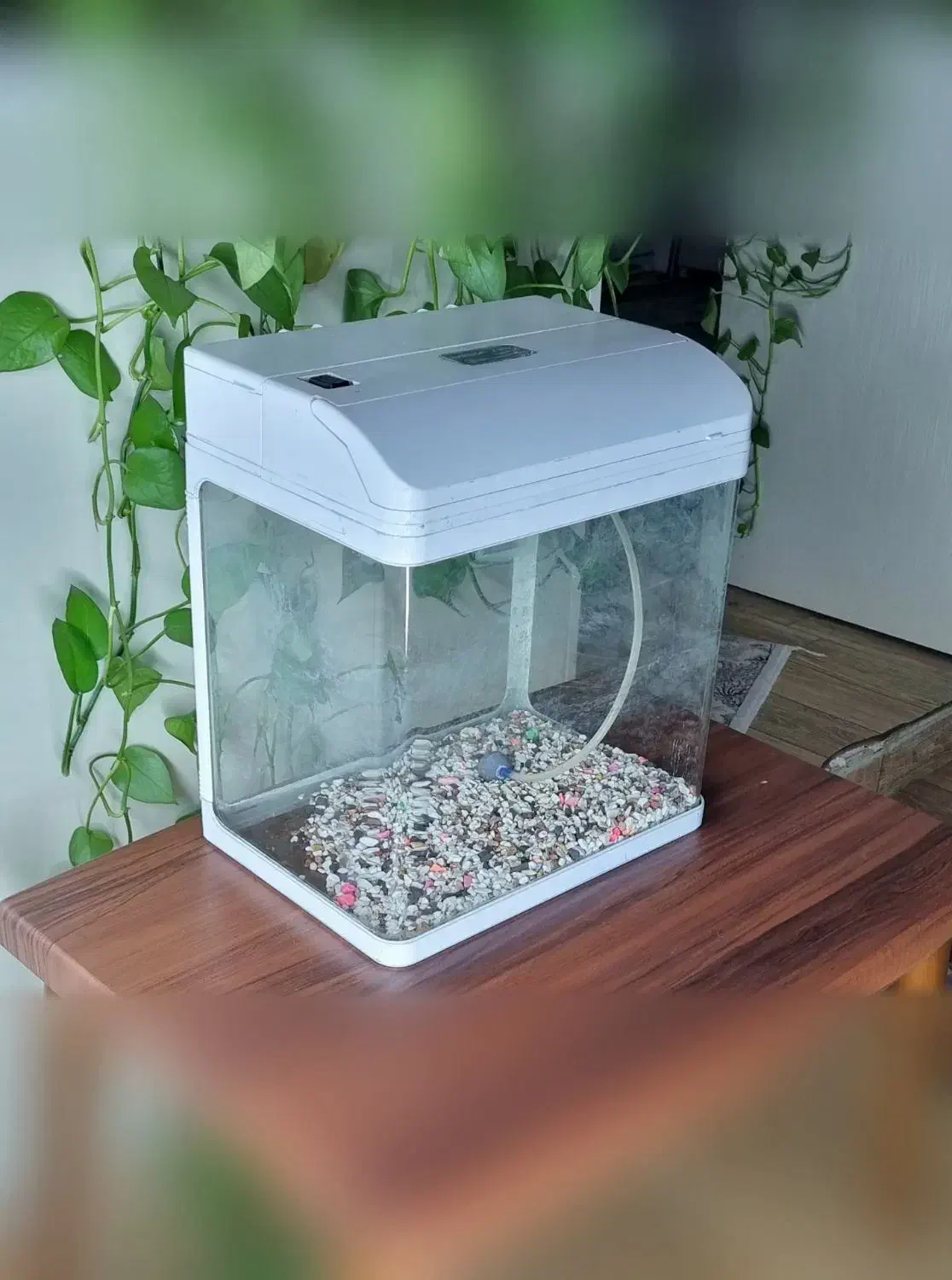 اکواریوم شیشه خم شرکتی ماهیران|ماهی|کرج, دولتآباد|دیوار