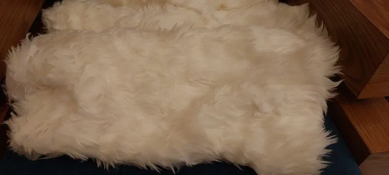 پارچه|لوازم خیاطی و بافتنی|تهران, شهرک محلاتی|دیوار