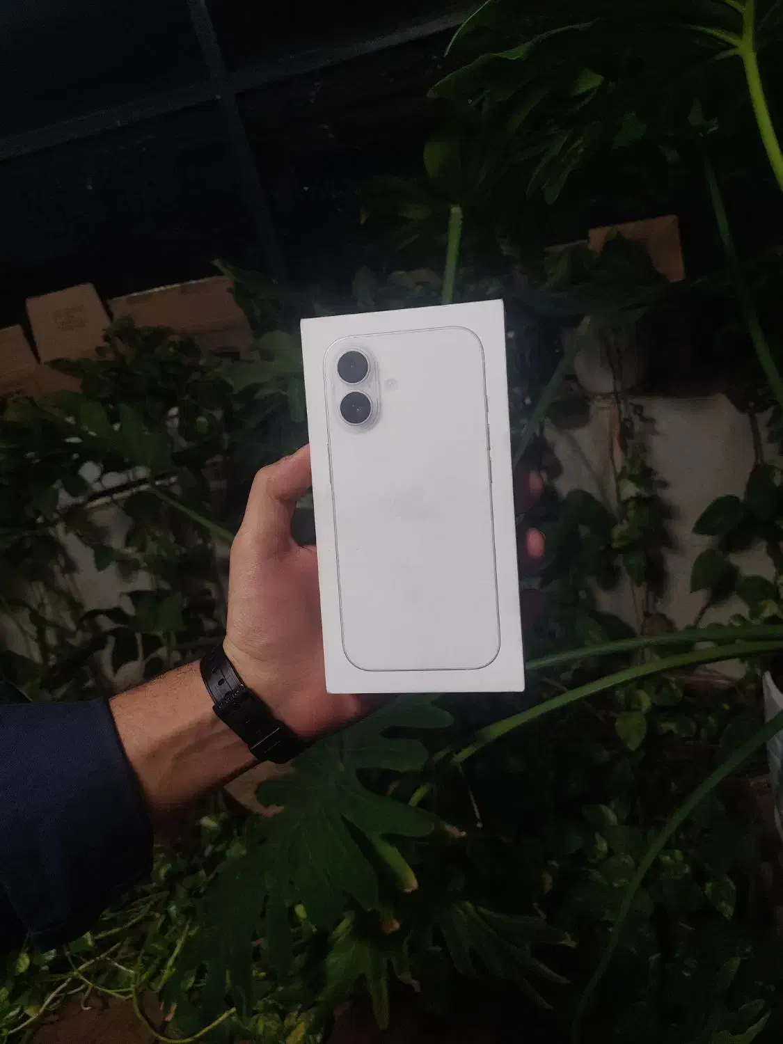 آیفون ۱۷ نرمال سفید ۲۵۶ نات اکتیو رجیستر نشده|موبایل|اصفهان, چرخاب|دیوار