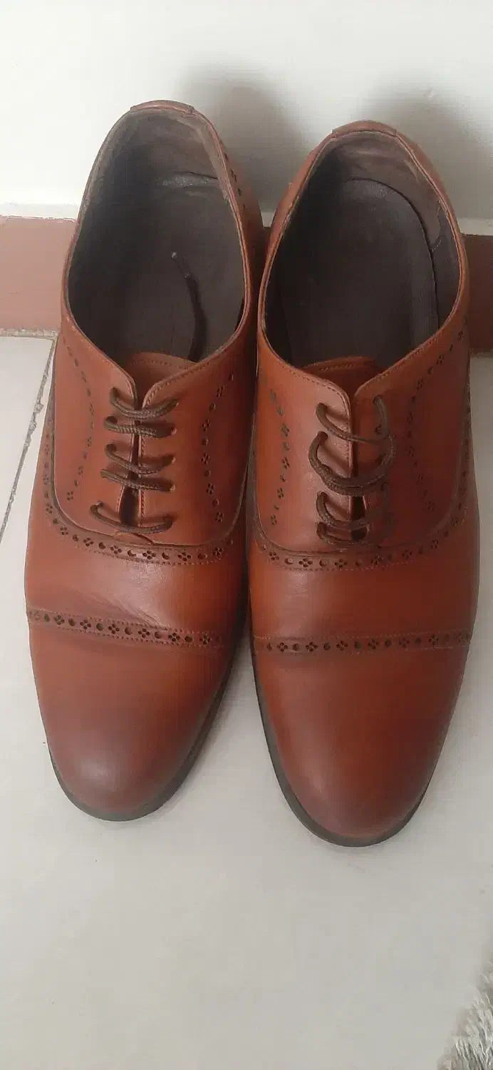 کفش مردانه|کیف، کفش، کمربند|لواسان, |دیوار