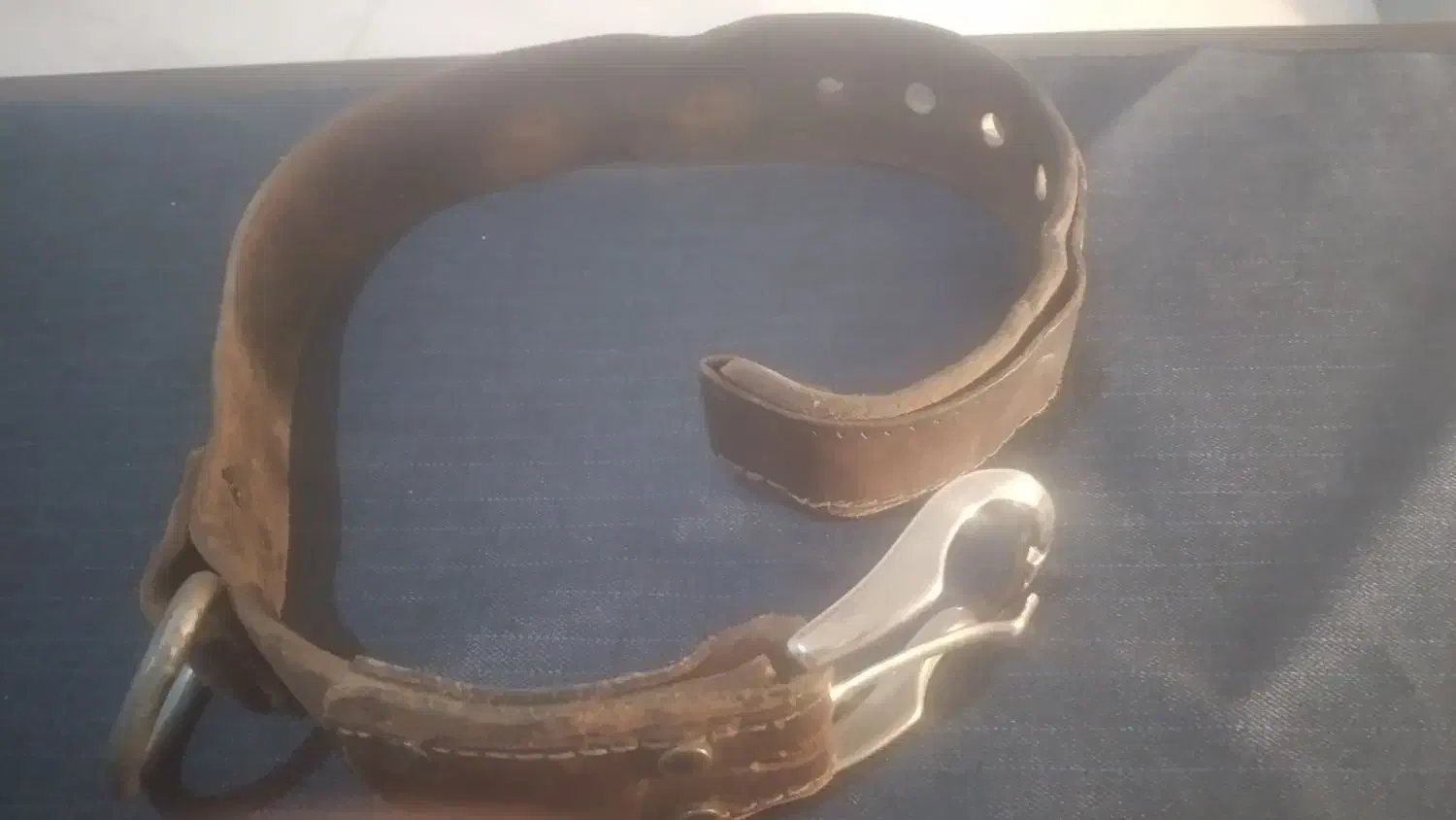 قلاده چرمی سگ|لوازم جانبی حیوانات|وحیدیه, |دیوار