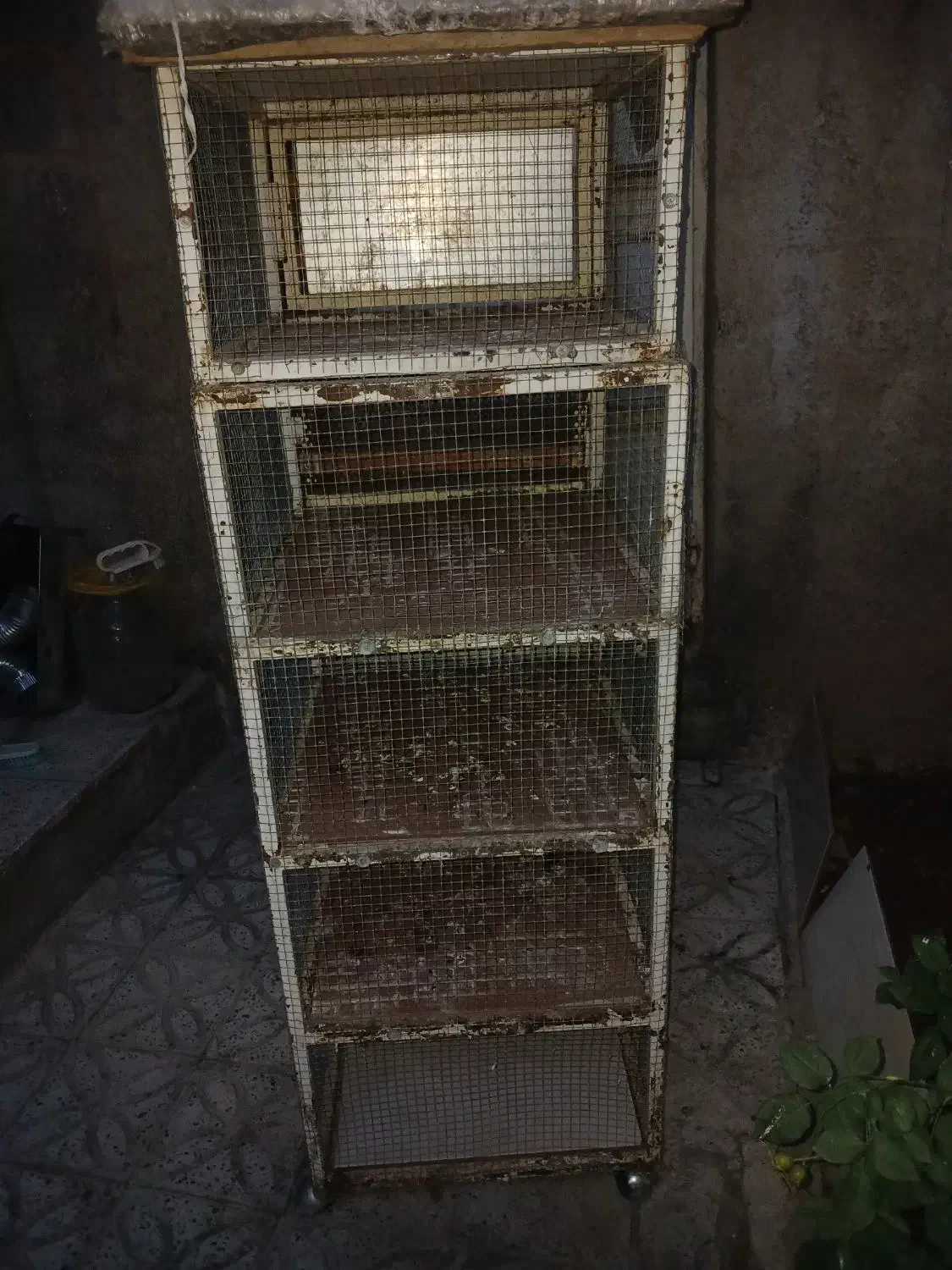 قفس جفتی|لوازم جانبی حیوانات|قزوین, |دیوار