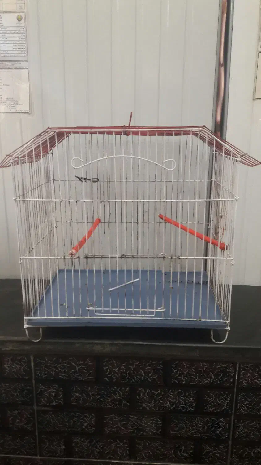 یک عدد قفس|لوازم جانبی حیوانات|آبادان, |دیوار