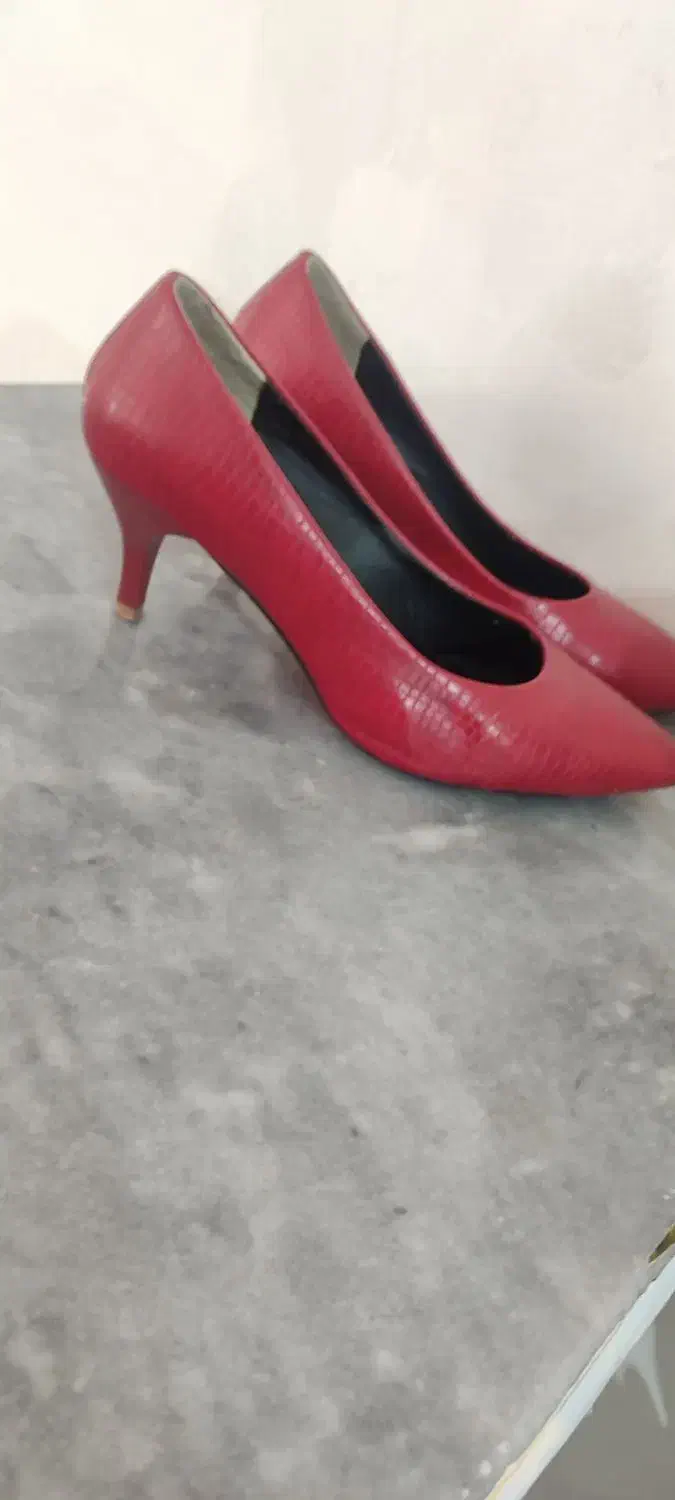 کفش مجلسی|کیف، کفش، کمربند|جوانرود, |دیوار