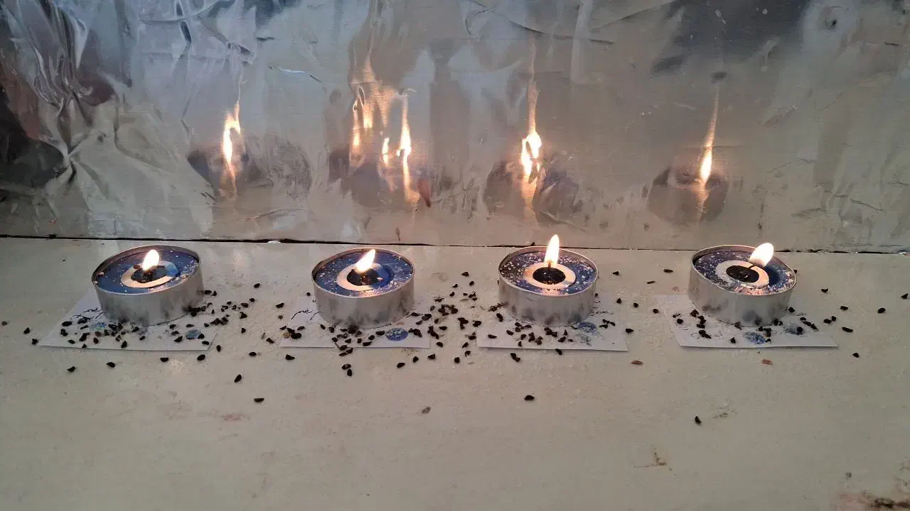 شمع|صنایع دستی و سایر لوازم تزئینی|رشت, خمیران زاهدان|دیوار