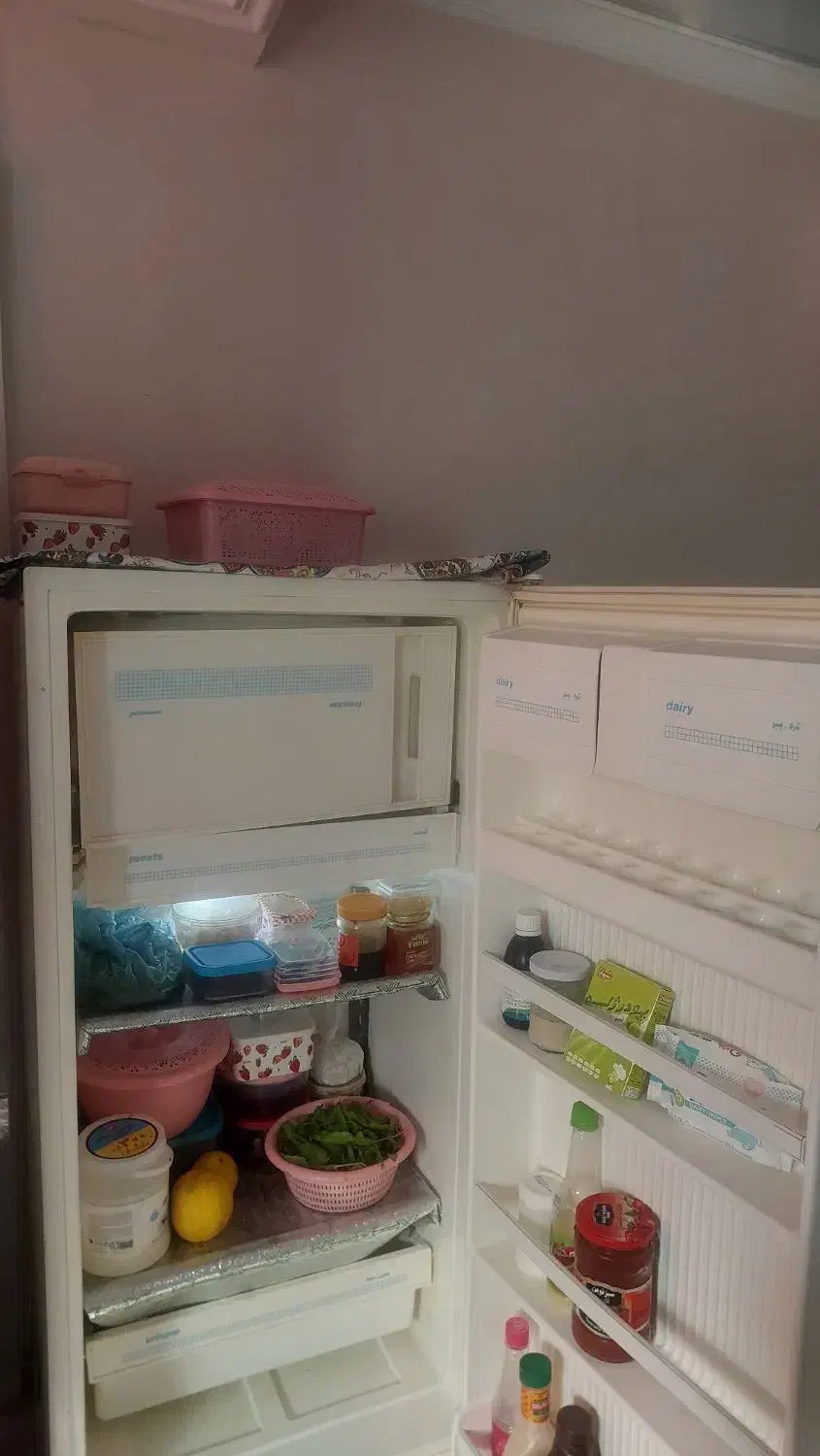 یخچال تمیز  بدون زن زدگی|یخچال و فریزر|رشت, حمیدیان|دیوار