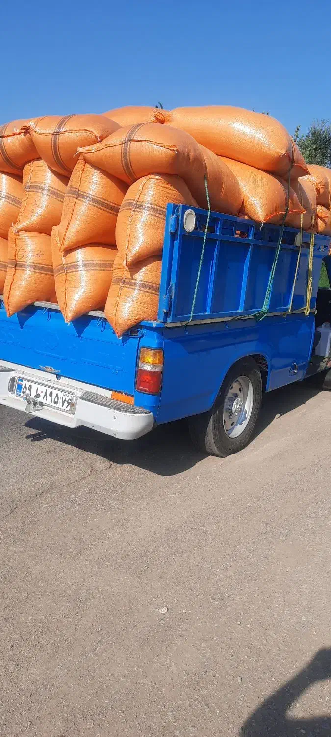 حمل بار بانیسان/اثباب کشی/کیوی /داخلی وشهرستان|خدمات حمل و نقل|تالش, تالش|دیوار