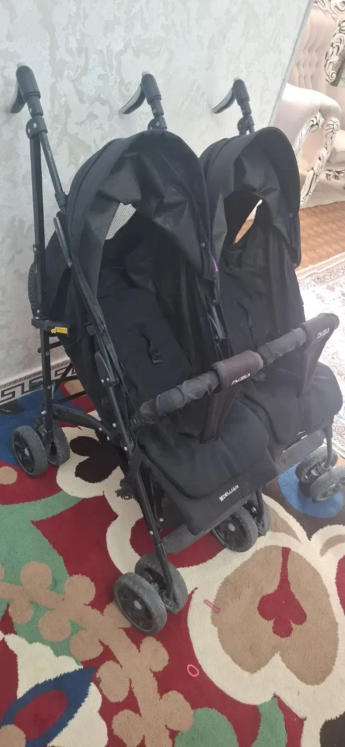 کالسکه دوقلویی دلیجان|کالسکه و لوازم جانبی|باغستان, |دیوار